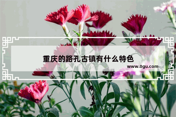 重庆的路孔古镇有什么特色