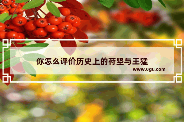 你怎么评价历史上的苻坚与王猛