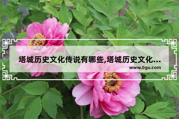 塔城历史文化传说有哪些,塔城历史文化传说