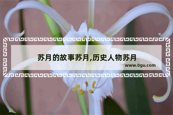 苏月的故事苏月,历史人物苏月