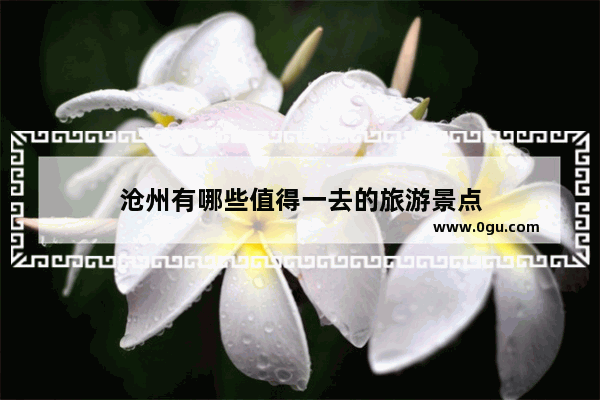 沧州有哪些值得一去的旅游景点