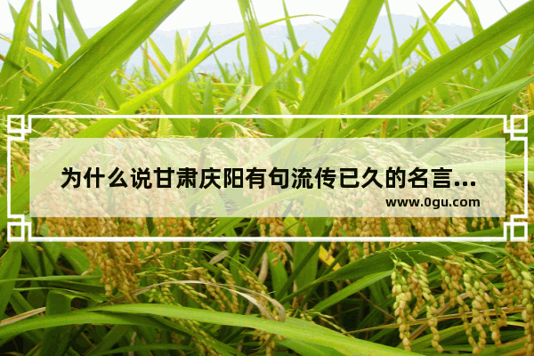 为什么说甘肃庆阳有句流传已久的名言“八百里秦川 比不上董志塬的一个边”