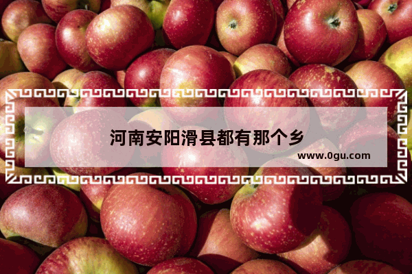 河南安阳滑县都有那个乡