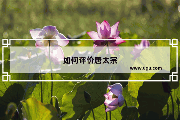 如何评价唐太宗