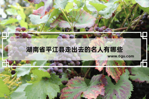 湖南省平江县走出去的名人有哪些