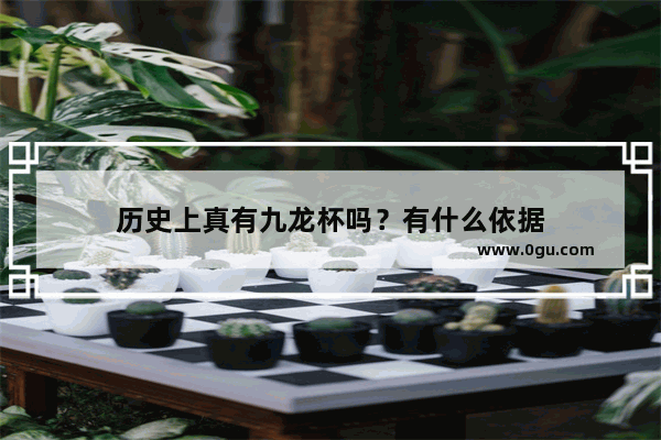 历史上真有九龙杯吗？有什么依据