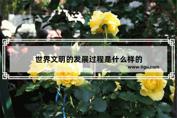 世界文明的发展过程是什么样的