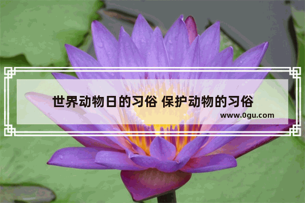 世界动物日的习俗 保护动物的习俗