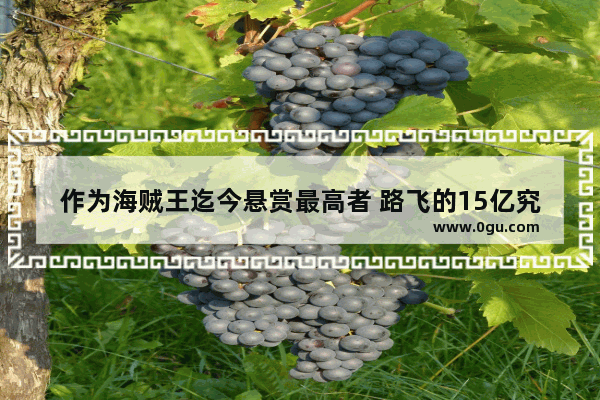 作为海贼王迄今悬赏最高者 路飞的15亿究竟是怎么来的