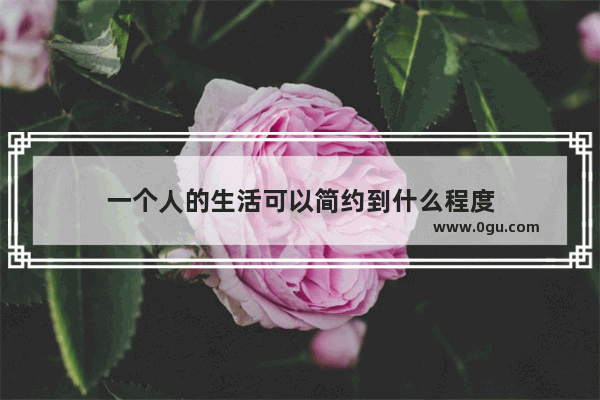 一个人的生活可以简约到什么程度