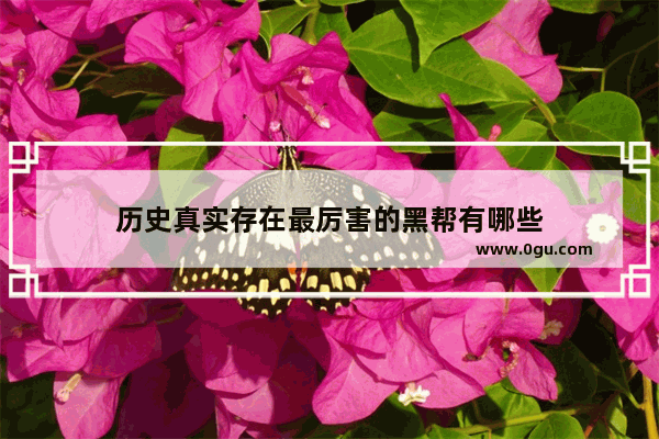 历史真实存在最厉害的黑帮有哪些