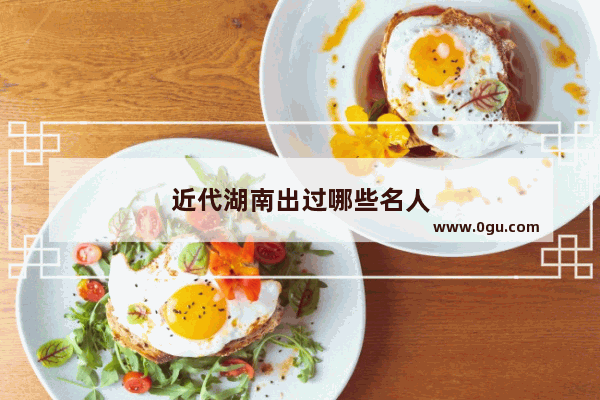 近代湖南出过哪些名人