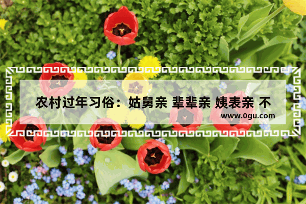 农村过年习俗：姑舅亲 辈辈亲 姨表亲 不算亲 到底啥才亲