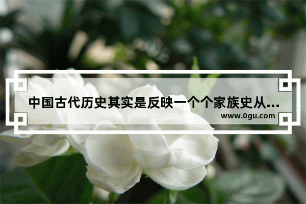 中国古代历史其实是反映一个个家族史从兴起到衰亡的过程吗？为什么