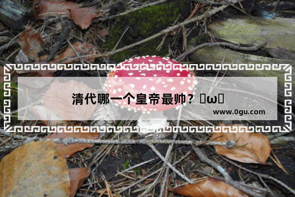 清代哪一个皇帝最帅？✪ω✪