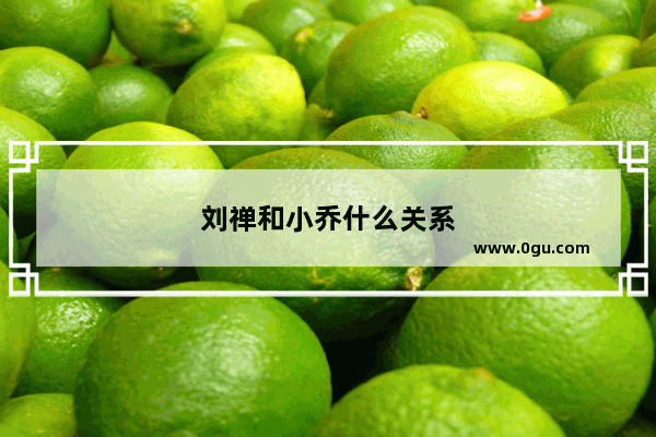 刘禅和小乔什么关系