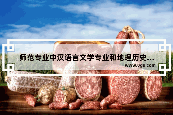 师范专业中汉语言文学专业和地理历史哪个就业前景更好
