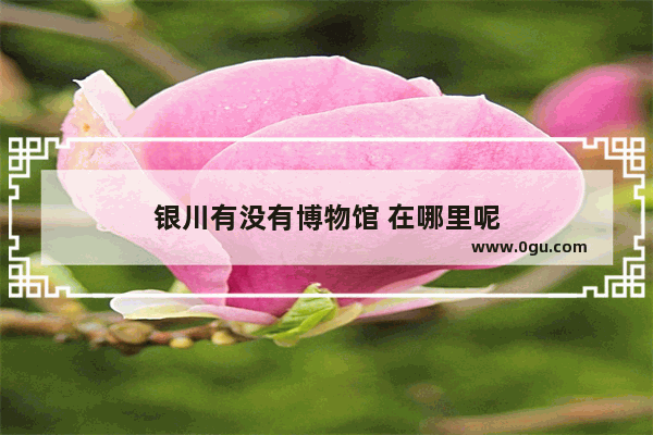 银川有没有博物馆 在哪里呢