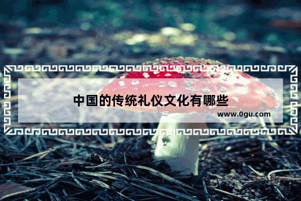 中国的传统礼仪文化有哪些