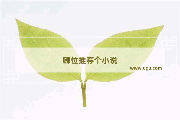 哪位推荐个小说