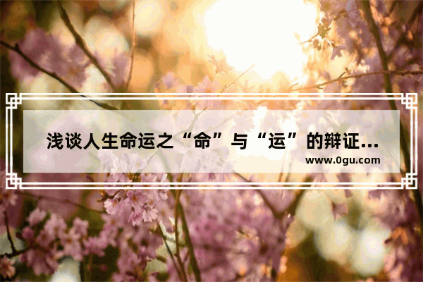 浅谈人生命运之“命”与“运”的辩证关系及其如何把握