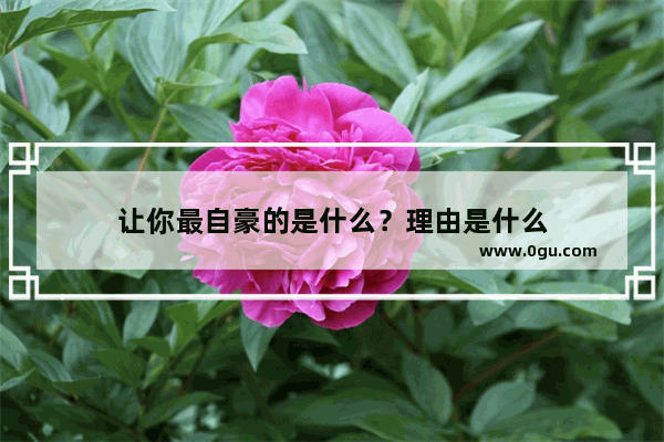 让你最自豪的是什么？理由是什么