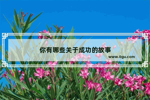 你有哪些关于成功的故事