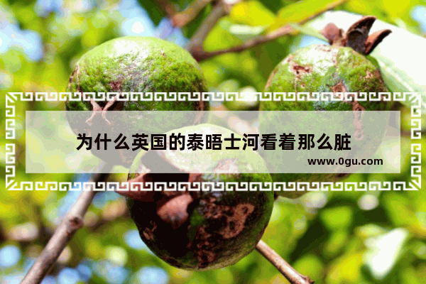 为什么英国的泰晤士河看着那么脏