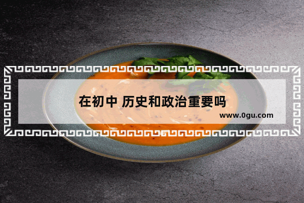 在初中 历史和政治重要吗