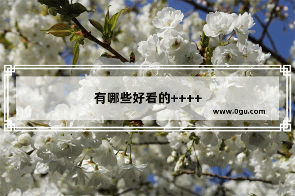 有哪些好看的++++
