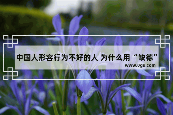 中国人形容行为不好的人 为什么用“缺德”而不是用“违法”