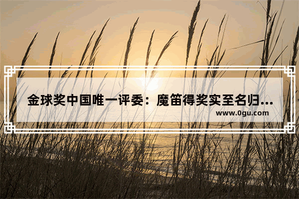 金球奖中国唯一评委：魔笛得奖实至名归 曼朱基奇排名在梅西之上 你怎么评价