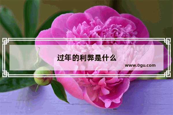 过年的利弊是什么