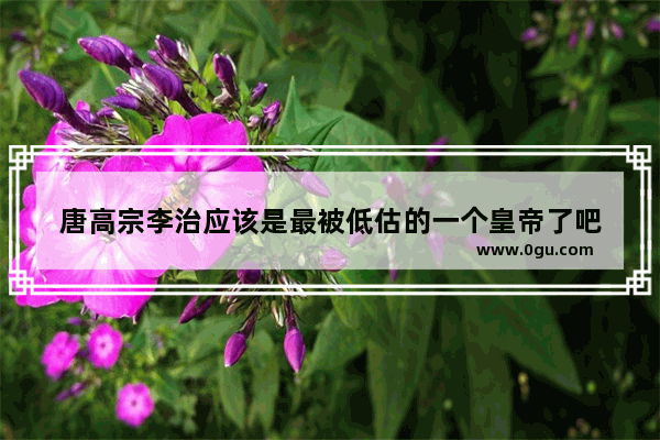 唐高宗李治应该是最被低估的一个皇帝了吧