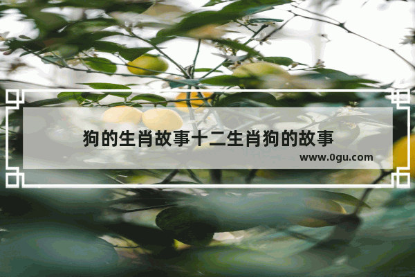 狗的生肖故事十二生肖狗的故事