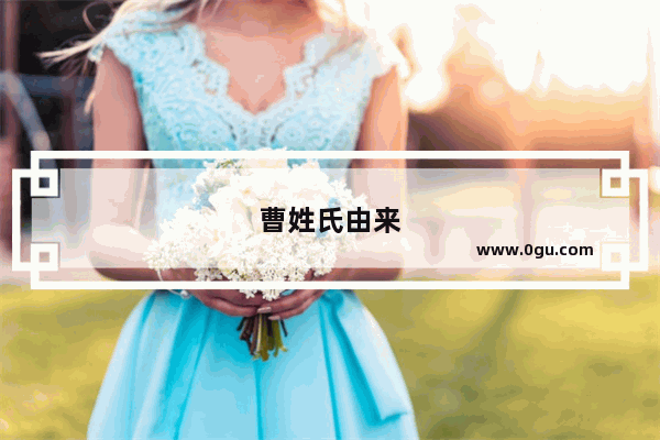 曹姓氏由来
