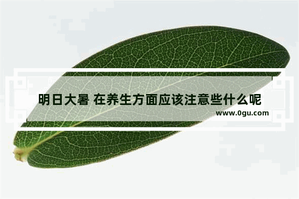 明日大暑 在养生方面应该注意些什么呢