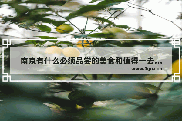 南京有什么必须品尝的美食和值得一去的地方