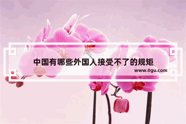 中国有哪些外国人接受不了的规矩