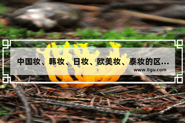 中国妆、韩妆、日妆、欧美妆、泰妆的区别在哪里