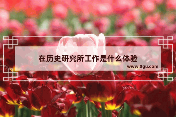 在历史研究所工作是什么体验