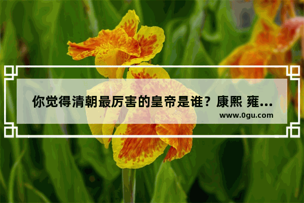 你觉得清朝最厉害的皇帝是谁？康熙 雍正还是乾隆
