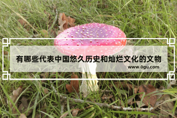 有哪些代表中国悠久历史和灿烂文化的文物