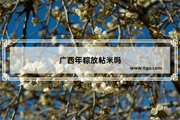 广西年粽放粘米吗