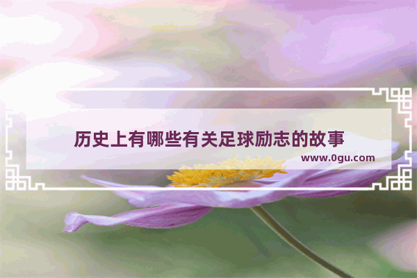 历史上有哪些有关足球励志的故事