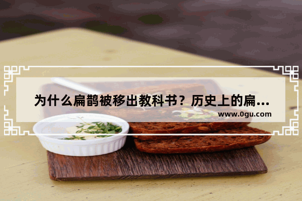 为什么扁鹊被移出教科书？历史上的扁鹊是一个人？还是一个组织