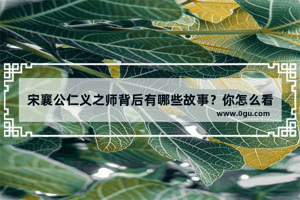 宋襄公仁义之师背后有哪些故事？你怎么看