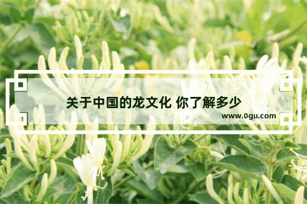 关于中国的龙文化 你了解多少
