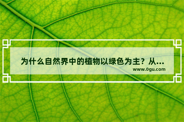 为什么自然界中的植物以绿色为主？从进化论的角度怎么解读