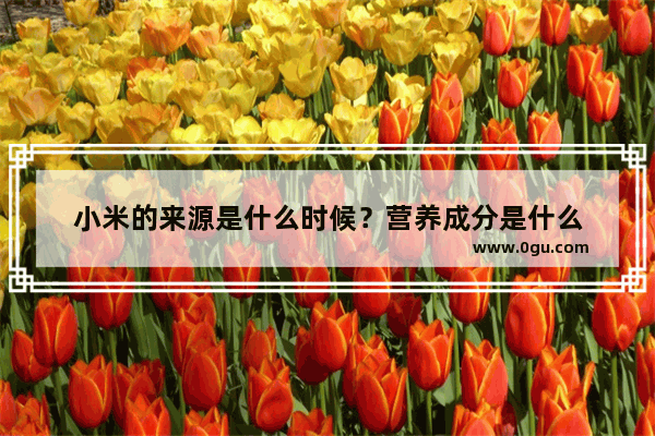 小米的来源是什么时候？营养成分是什么